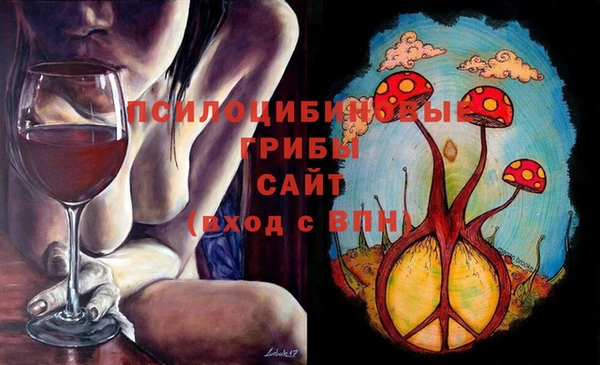 таблы Белокуриха