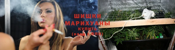 PSILOCYBIN Бронницы