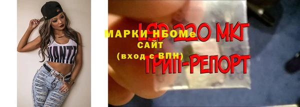 спайс Беломорск