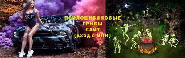 таблы Белокуриха