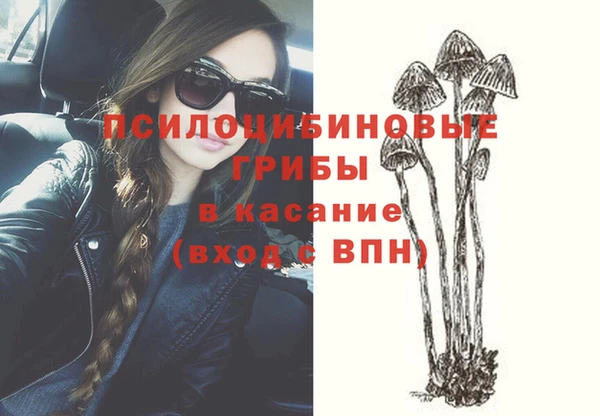 соль ск Богородицк